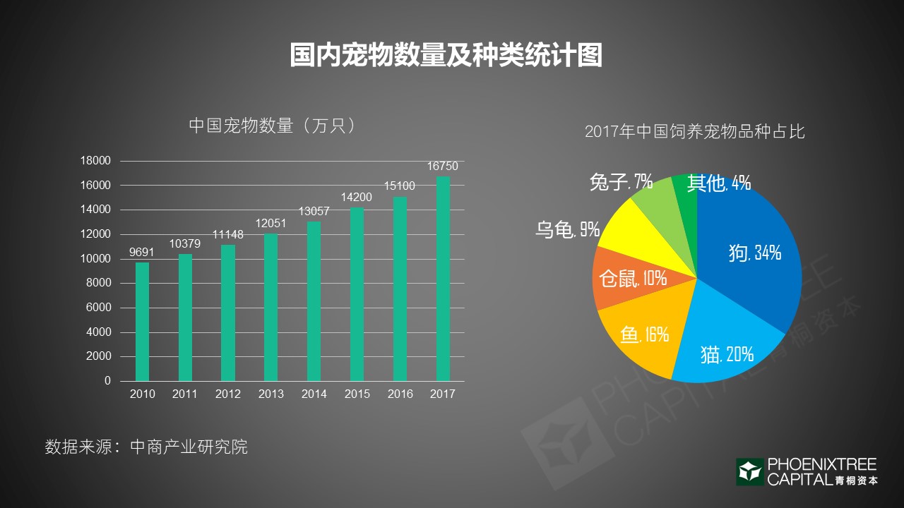 揭秘虐杀宠物产业链，深度调查与反思