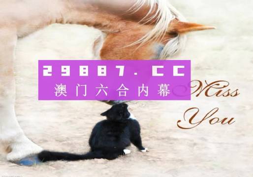 澳门4949最快开奖结果,专业解析评估_VR35.956